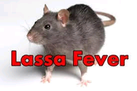 We‘ll Continue To Curtail The Spread Of Lassa Fever —Oyo govt