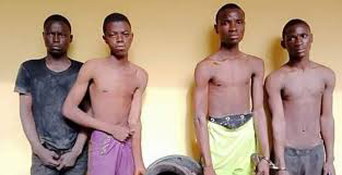 Ritual:One of the teenagers arrested for killing girlfriend for money ritual in Ogun state has been released