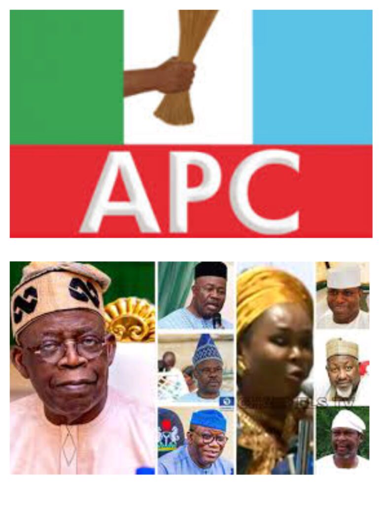 APC Presidential Primaries:Badaru, Bankole,Akpabio, Fayemi, Boroffice, female aspirant, step down for Tinubu as voting begin