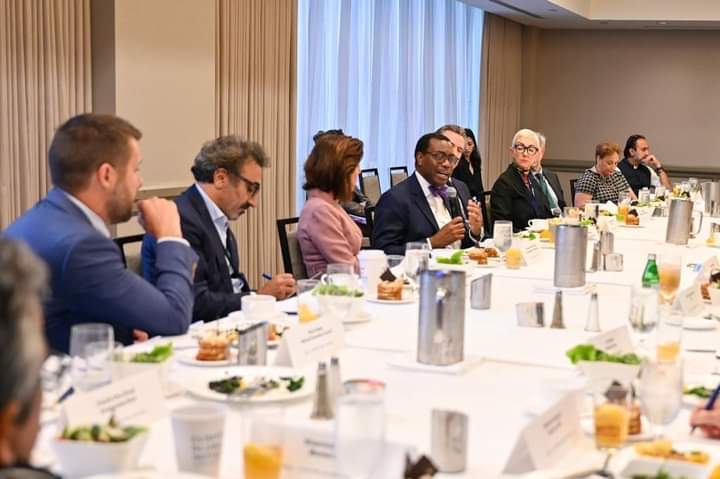 Photostory: Hillary, Bill Clinton Host Adesina At Executive Roundtable