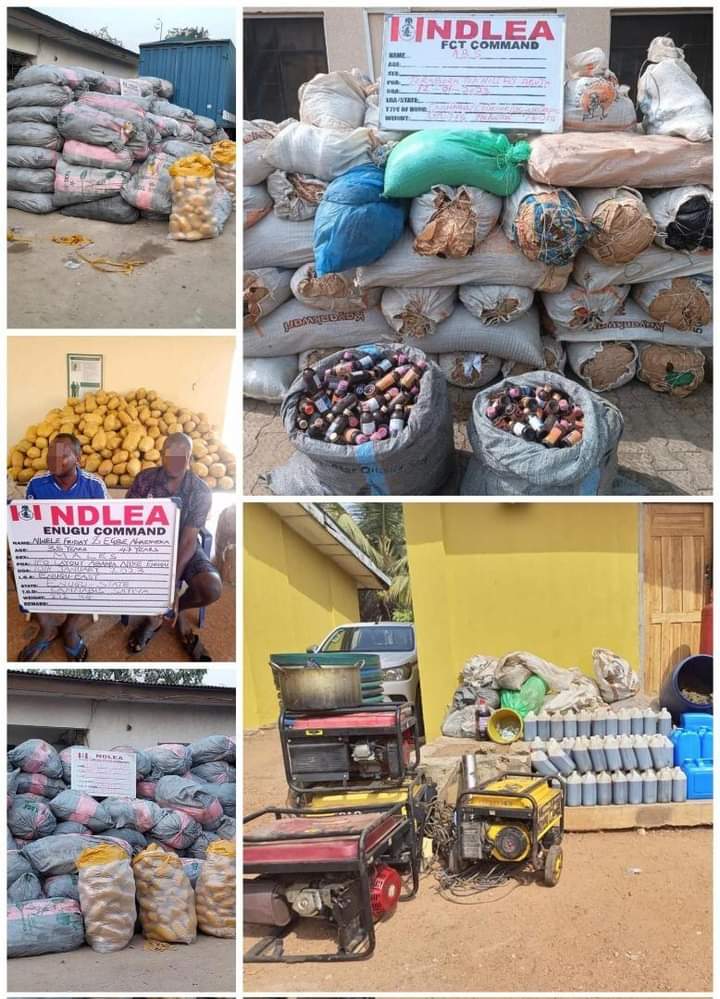 NDLEA Arrests Kingpins, Seizes Over N5m Worth Of Tramadol