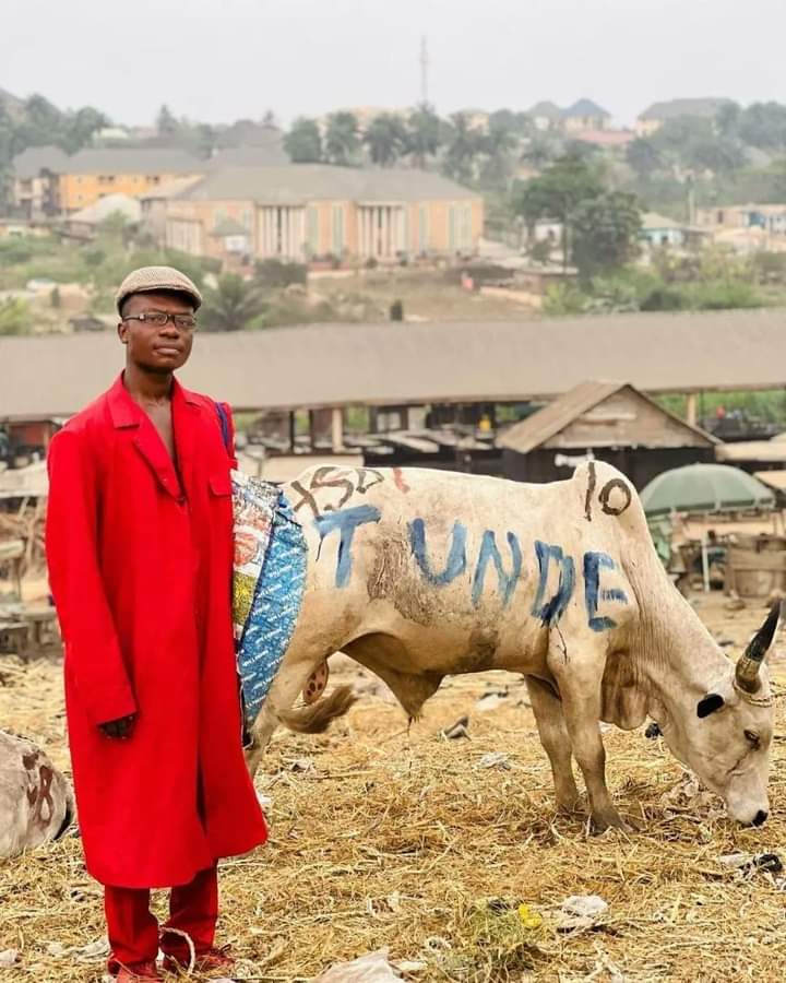 Skit Maker Donates Cow For Tunde Ednut’s Birthday