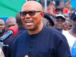 Politics:Any snake that swallows money under my administration must vomit it – Peter Obi