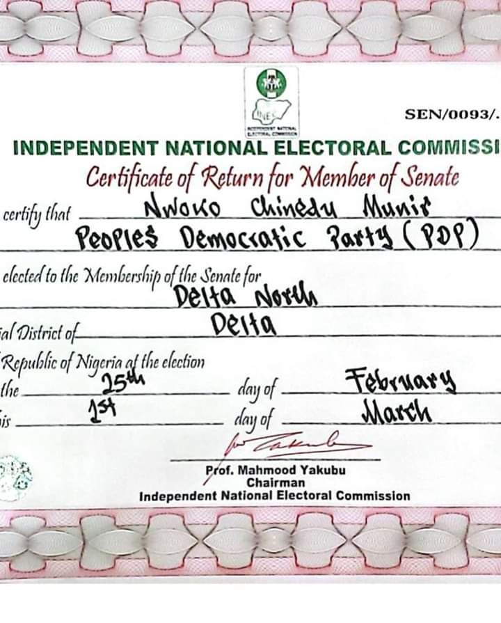 Ned Nwoko receives ‘certificate of return’ after election victory