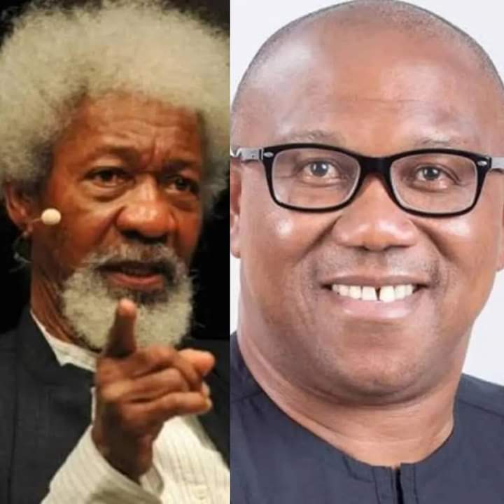 I told Obi three times that Obidients would cost him election – Wole Soyinka