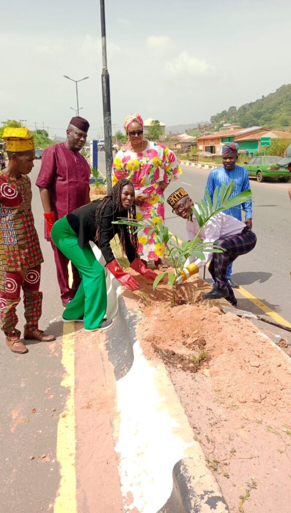 NGO donates 1000 trees to Ekiti for reforestation