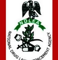 NDLEA Under Pressure to Investigate Officer Accused of Assaulting Minor.